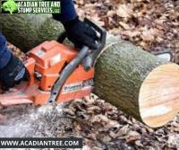 Acadian Tree and Stump Removal Service  image 1